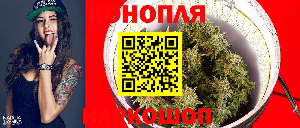 Выборг  Марихуана гибрид  Шишки марихуана Ganja  Вход с VPN  Бошки марихуана марихуана 